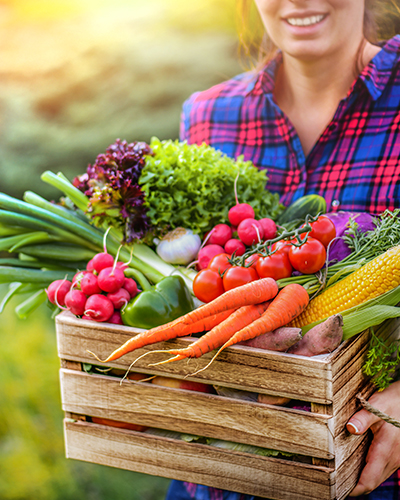 localhomepage1 farm fresh basket of vegetables with carrots, tomatoes and corn